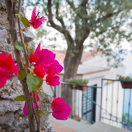 Il Glicine 3* Cetara